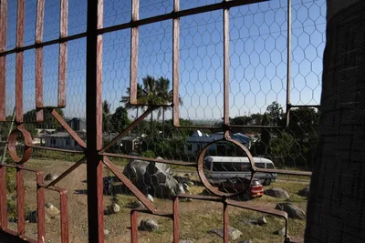 DSC_2676 (Large).JPG